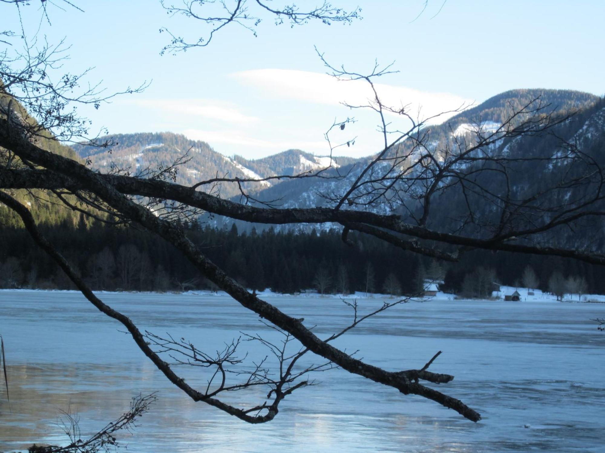 Ferienwohnung Moser Am See Millstatt Exteriör bild
