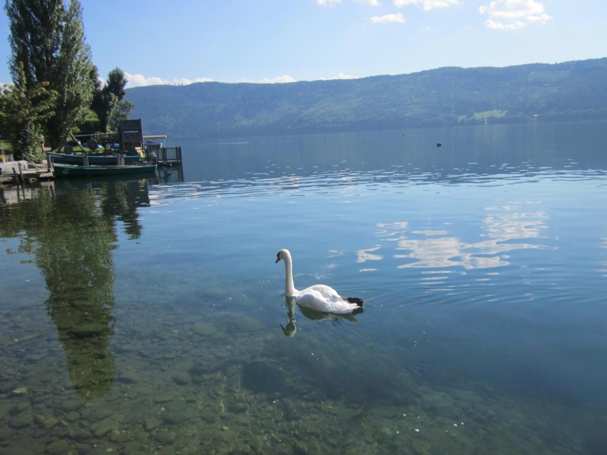 Ferienwohnung Moser Am See Millstatt Exteriör bild